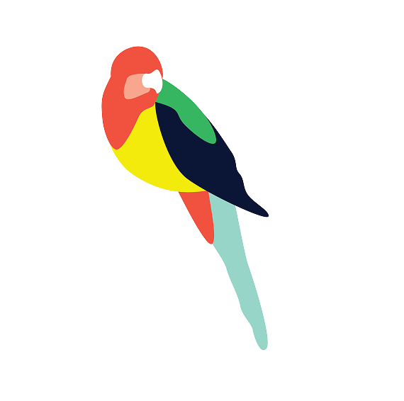 Colourful parrot illustration with red, green and blue feathers